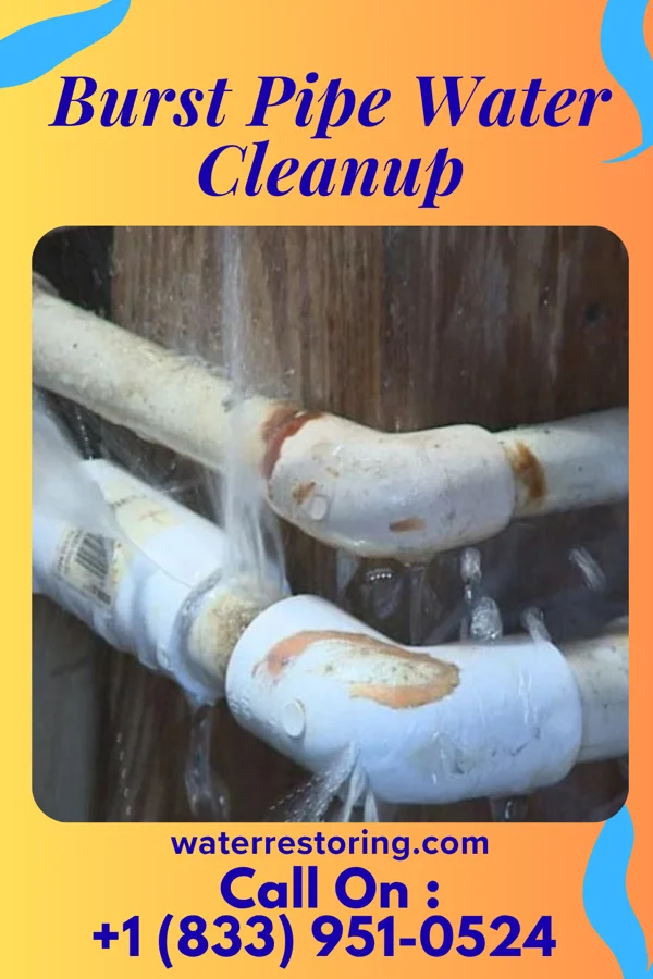 Burst Pipe Water Cleanup in McLeansville, NC