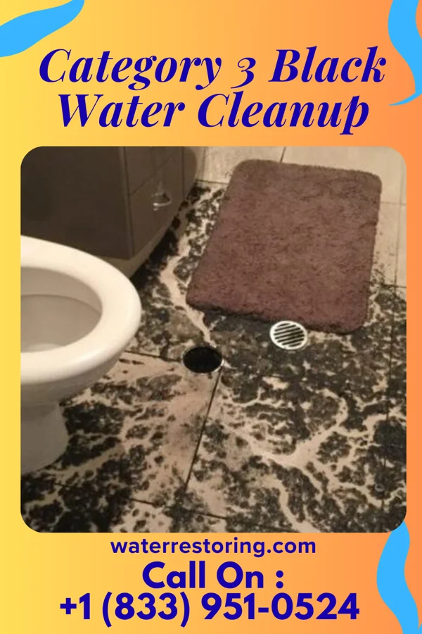 Category 3 Black Water Cleanup in McLeansville, NC