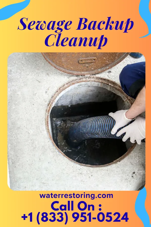 Sewage Backup Cleanup in McLeansville, NC