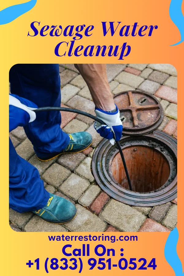 Sewage Water Cleanup in McLeansville, NC